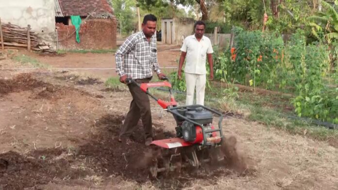 Gujarat's Dahod farmers see success in natural farming practices Gujarat