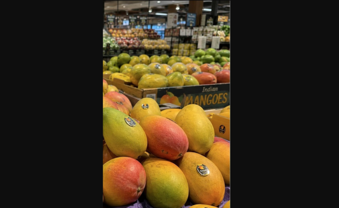 Indian Mangoes Indian Mangoes