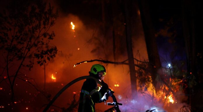 wildfires