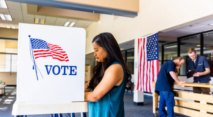 Asian voters