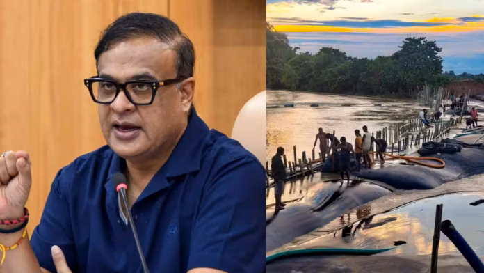 Assam flood damage - CM Himanta Biswa Sarma Assam