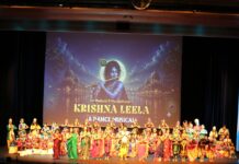 Krishna Leela