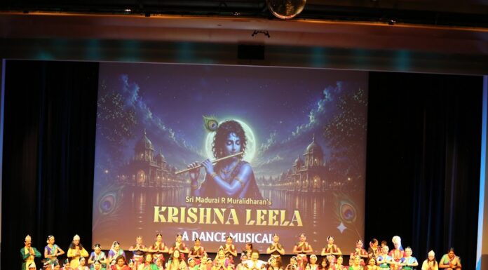 Krishna Leela